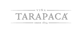 Viña Tarapacá Landing